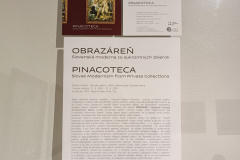 IMG_20240531_113910